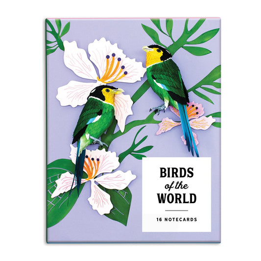 Birds of the World Greeting Assortment Notecard Set