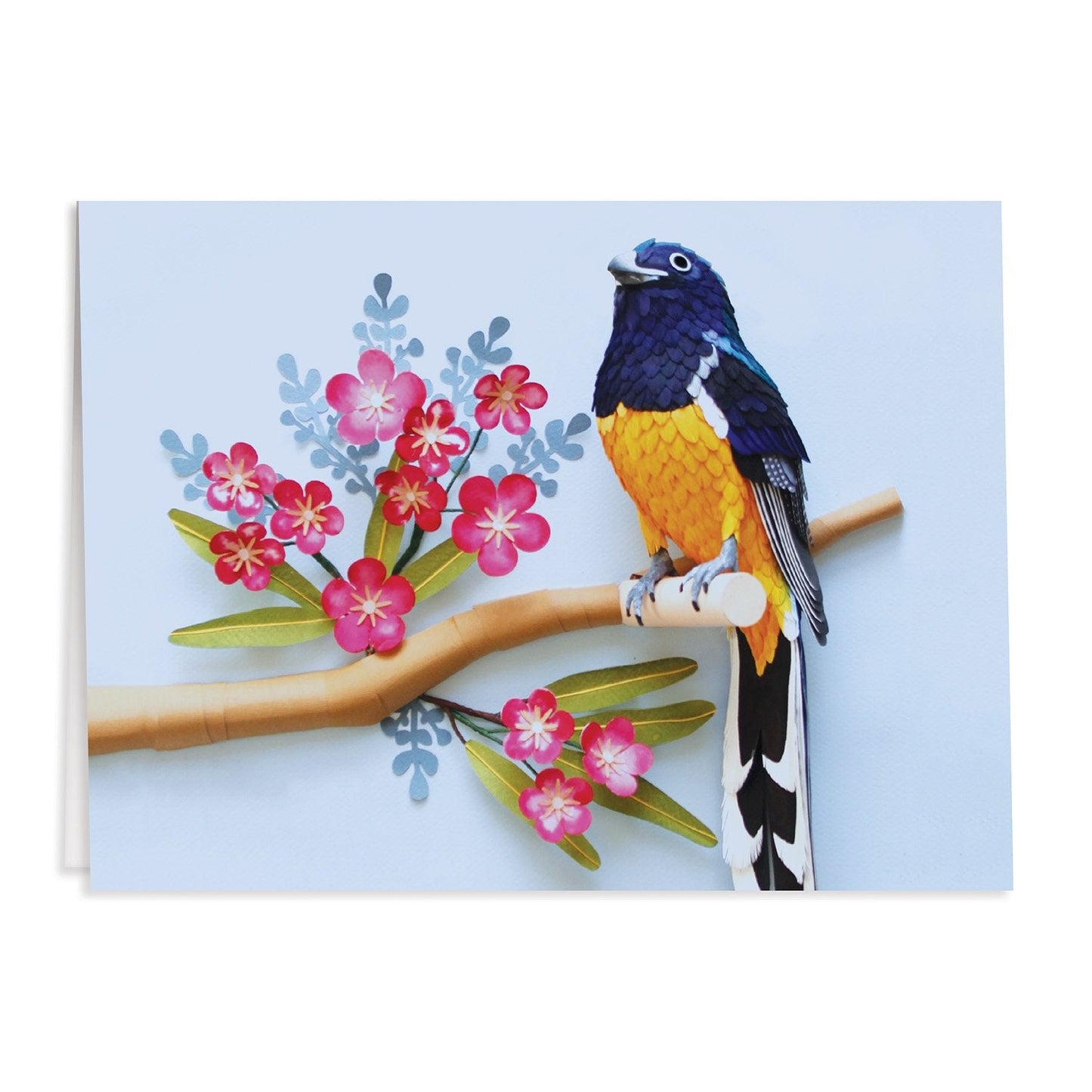 Liberty London Floral Greeting Assortment Notecard Set