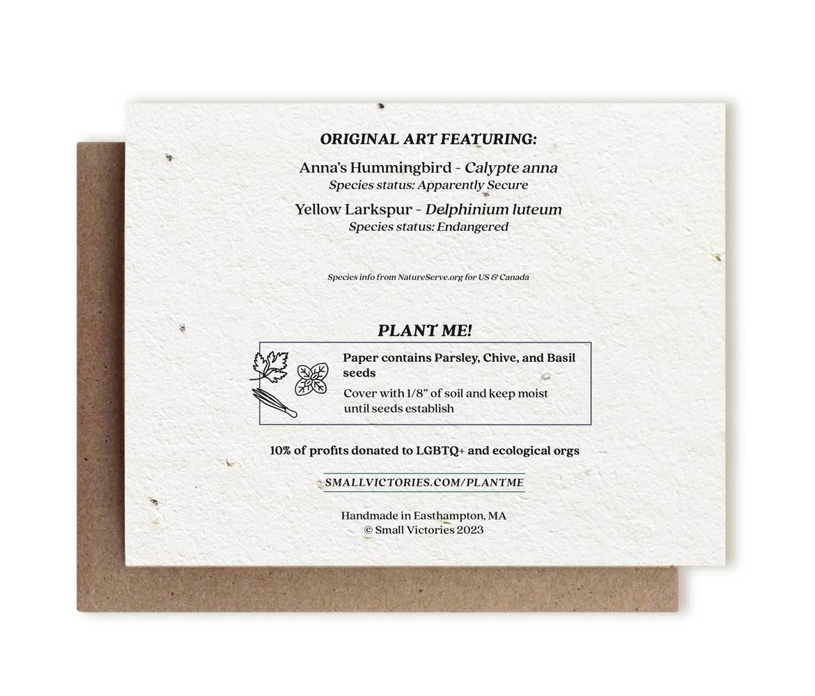 Small Victories - Anna's Hummingbird & Yellow Larkspur Plantable Herb Card