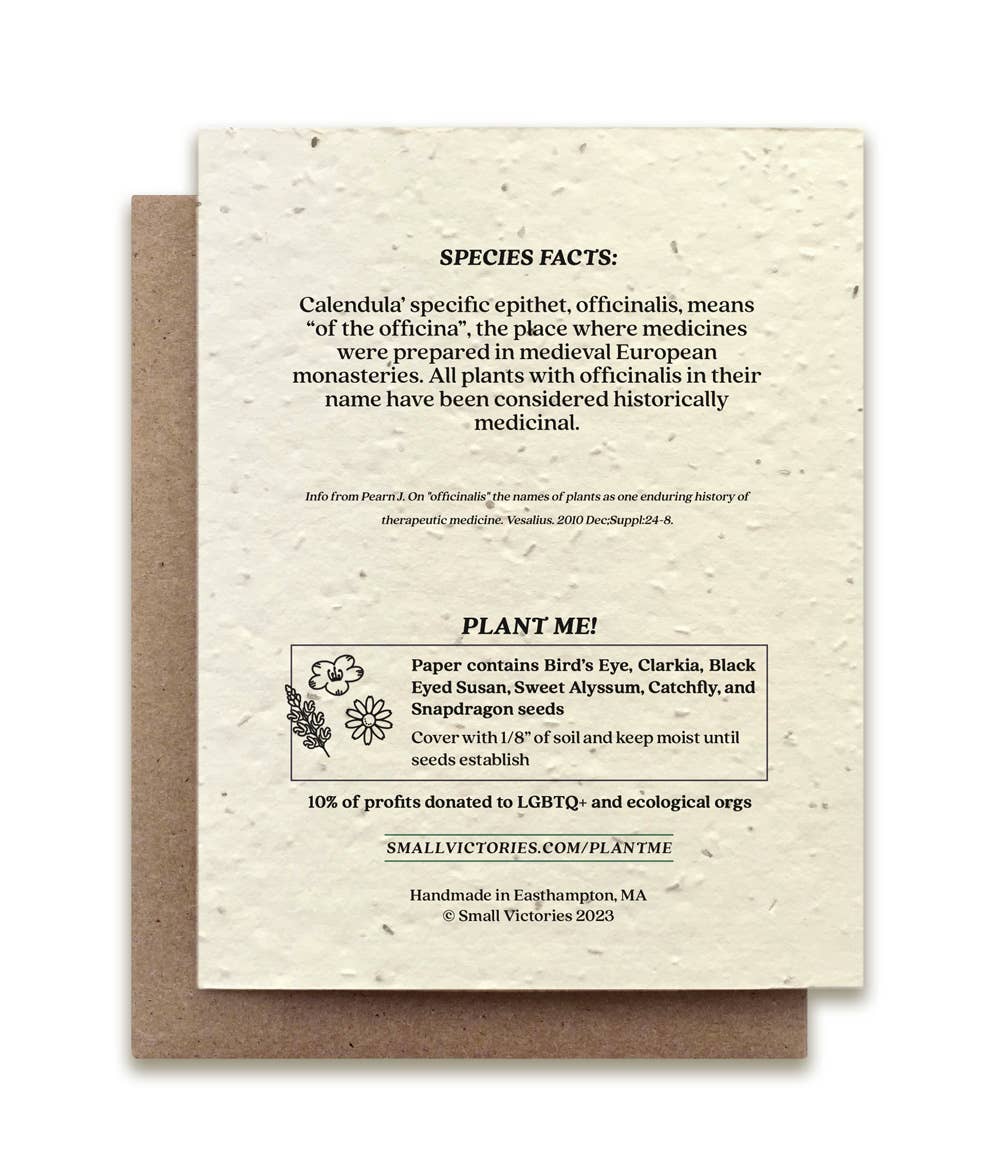 Small Victories - Calendula Plantable Wildflower Seed Card