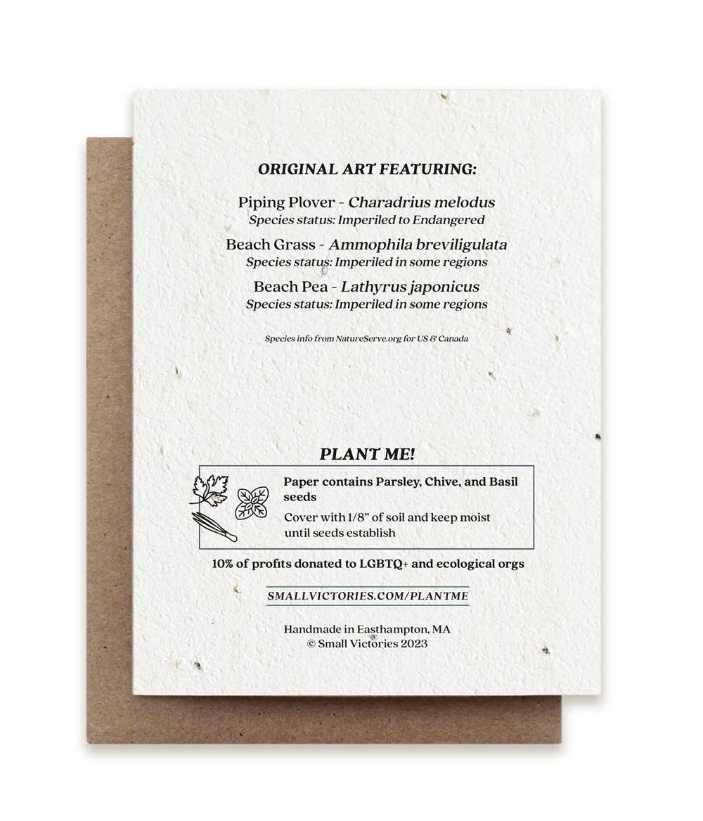 Small Victories - Summer Plovers Plantable Herb Seed Card