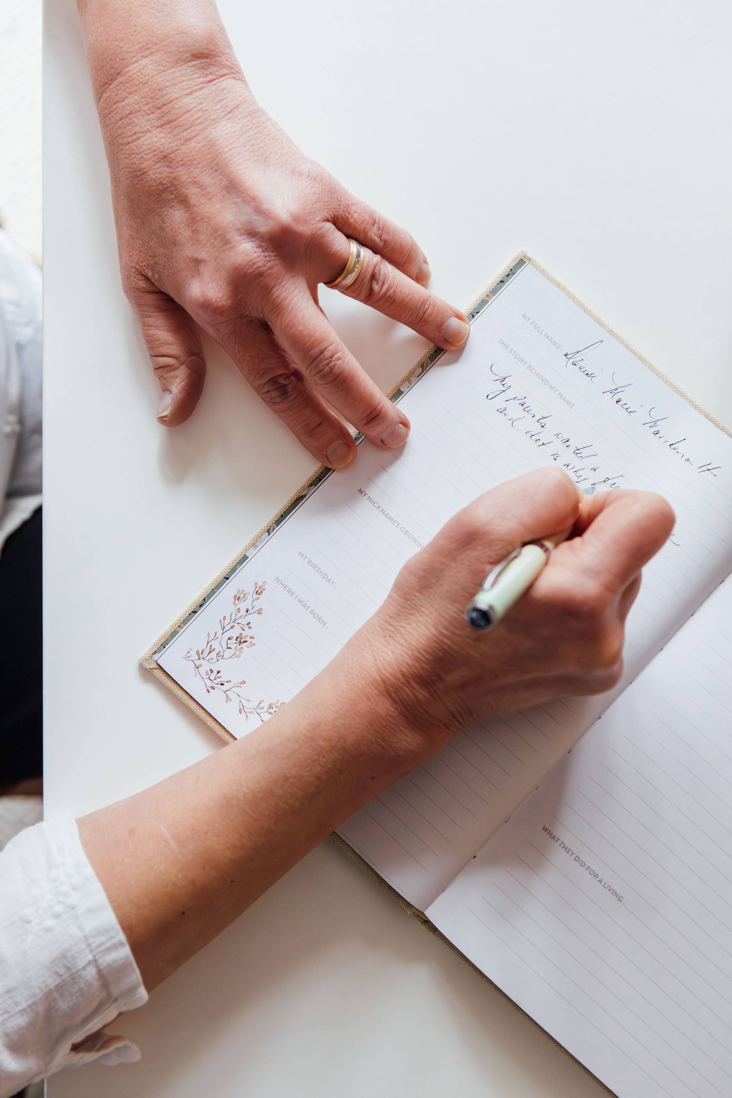 Paige Tate & Co. - Grandma's Story: A Memory and Keepsake Journal for My Family