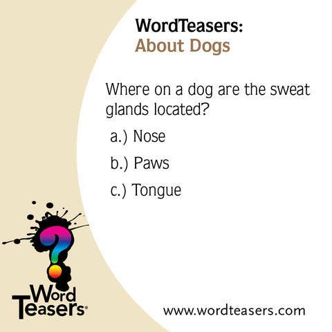 WordTeasers - About Dogs