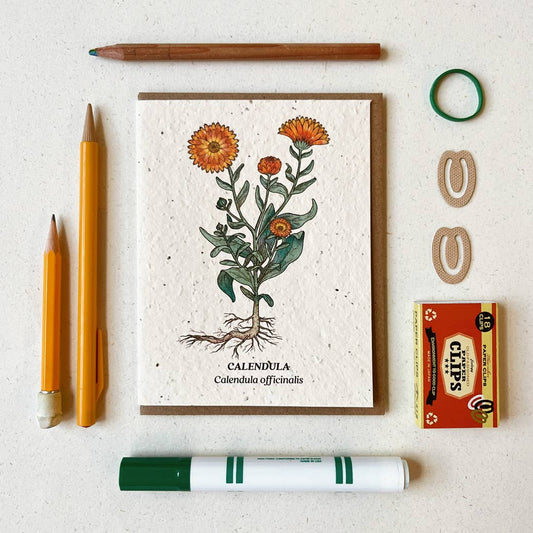 Small Victories - Calendula Plantable Wildflower Seed Card