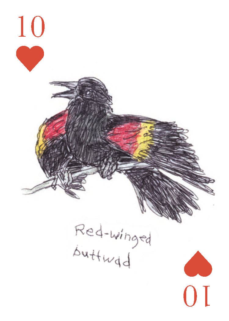 Chronicle Books - Field Guide to Dumb Birds Playing Cards