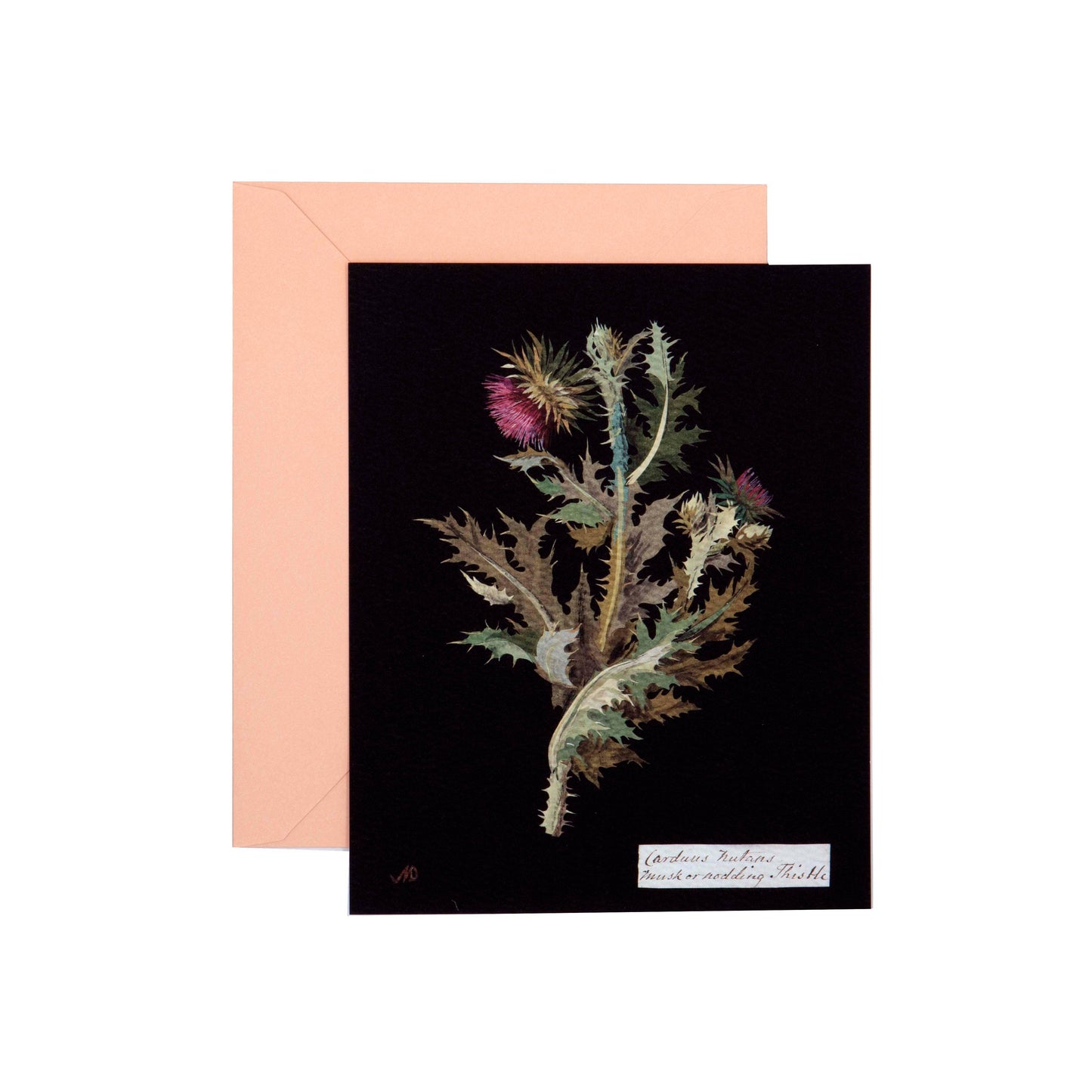Chronicle Books - Paper Flowers Cards and Envelopes