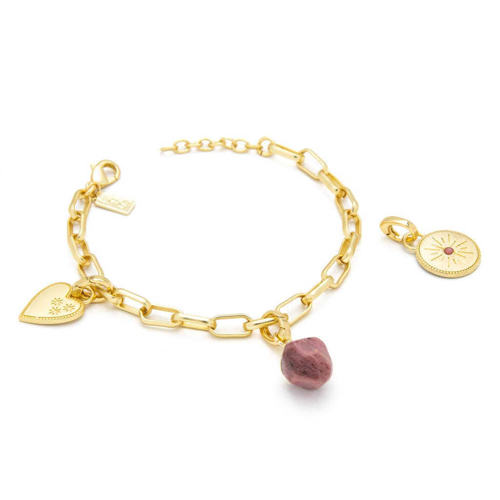 Scout Curated Wears - Interchangeable Charm Bracelet - Tourmaline/Healing/Gold