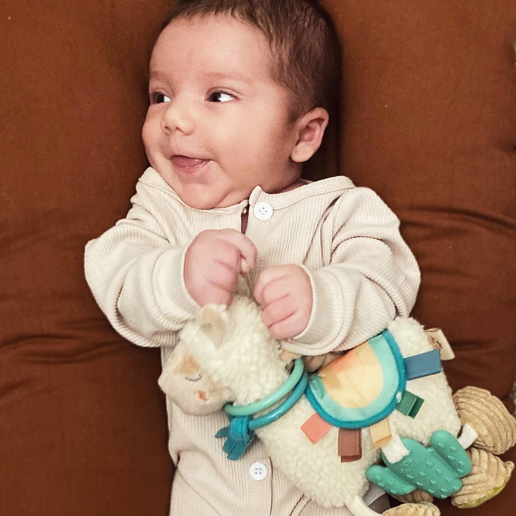 Itzy Ritzy - Itzy Friends Link & Love™ Activity Plush with Teether Toy