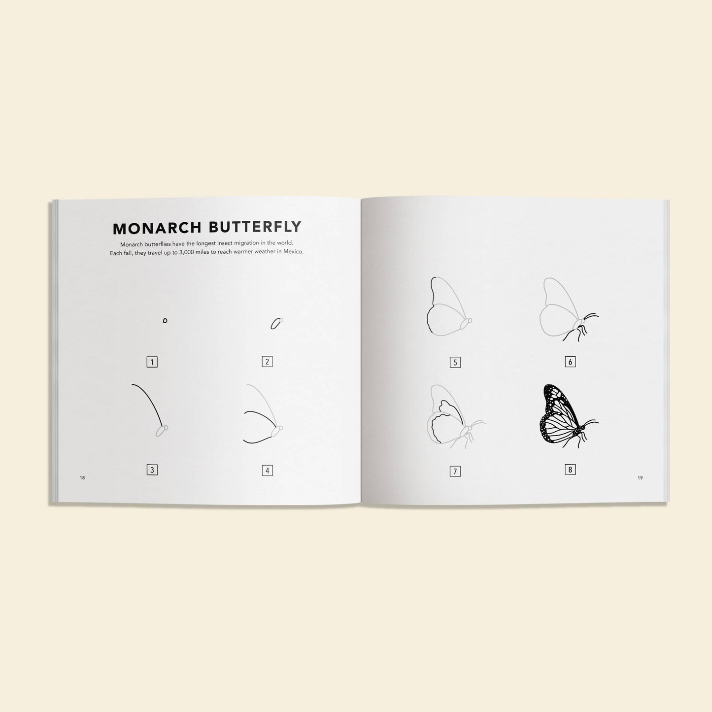 Paige Tate & Co. - How to Draw Bugs for Kids (Butterflies, Bees, Ladybugs)