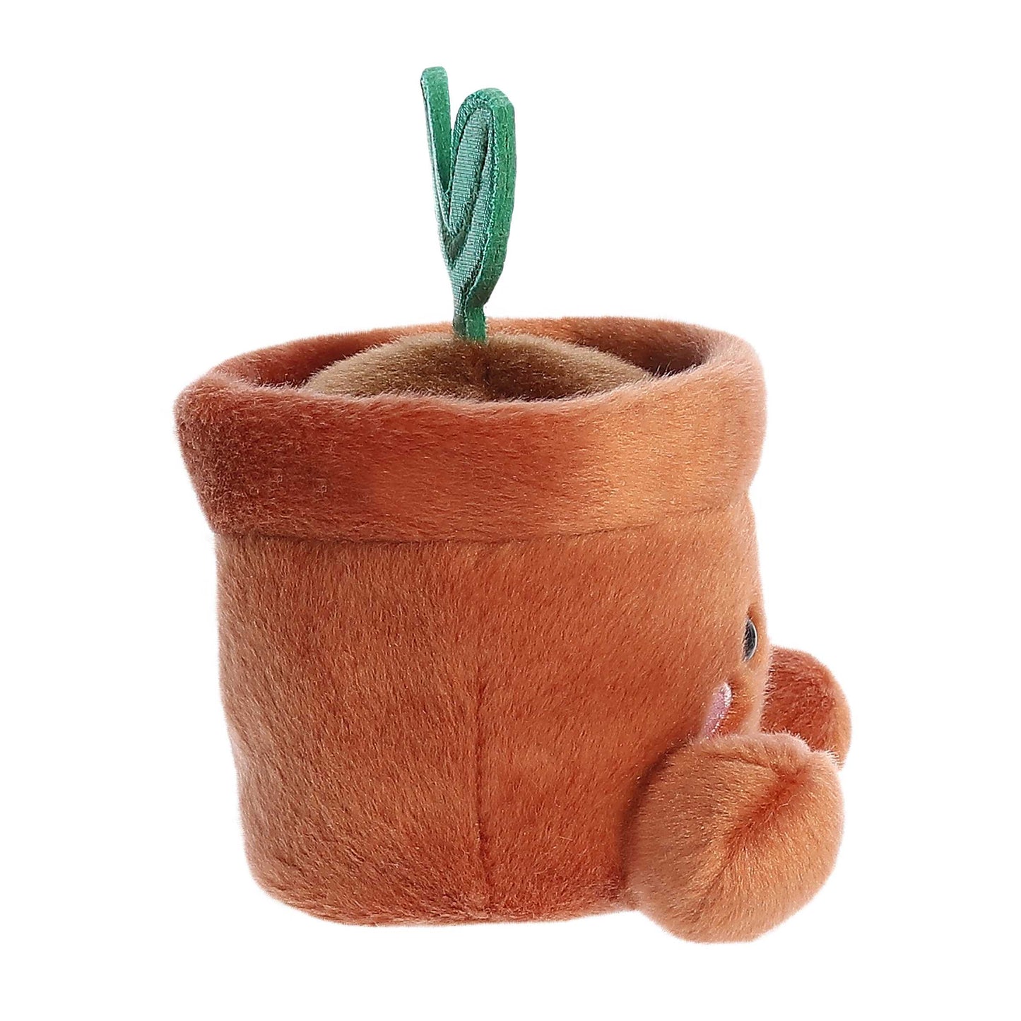 Aurora - Palm Pals™ - 5" Terra Potted Plant