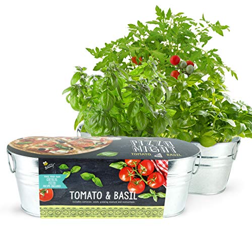 Windowsill Grow Kit | Pizza Night: Tomato and Basil