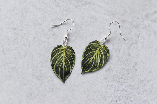 Philodendron Birkin Plant Earrings