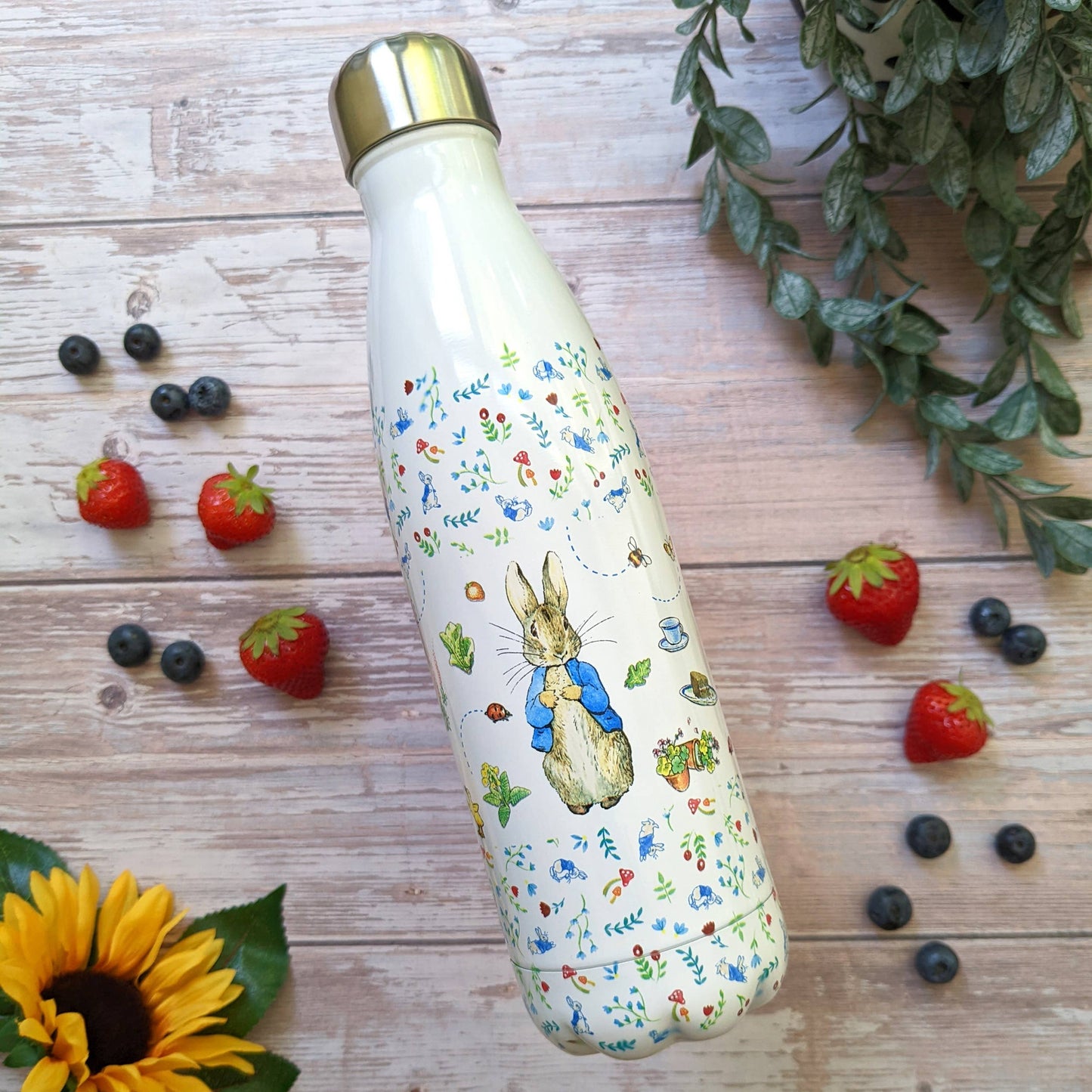 Robert Frederick Ltd - World of Beatrix Potter Water Bottle