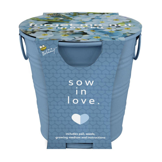 Painted Flower Grow Pail Forget Me Not Grow Kit
