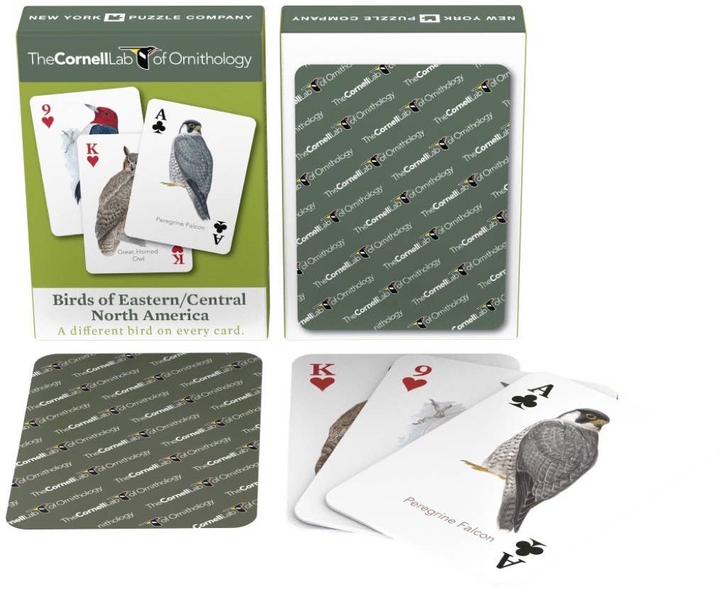 New York Puzzle Company - Birds of Eastern/Central North America Playing Cards