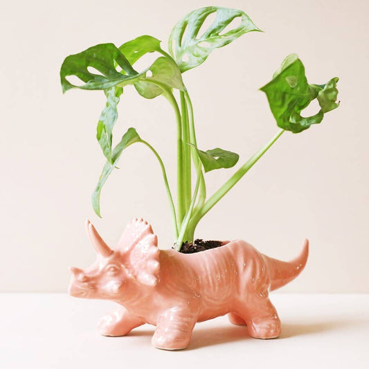 Lisa Angel - Pink Triceratops Dinosaur Planter