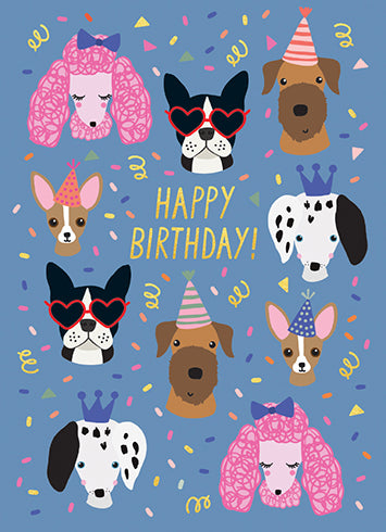Birthday card PARTY DOGS