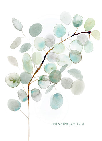 Sympathy card EUCALYPTUS