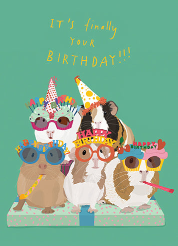 Birthday card Guinea Pig Party
