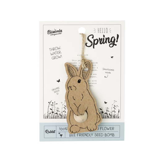 Celebrate Hangers - Rabbit (Hello Spring) - Blossombs