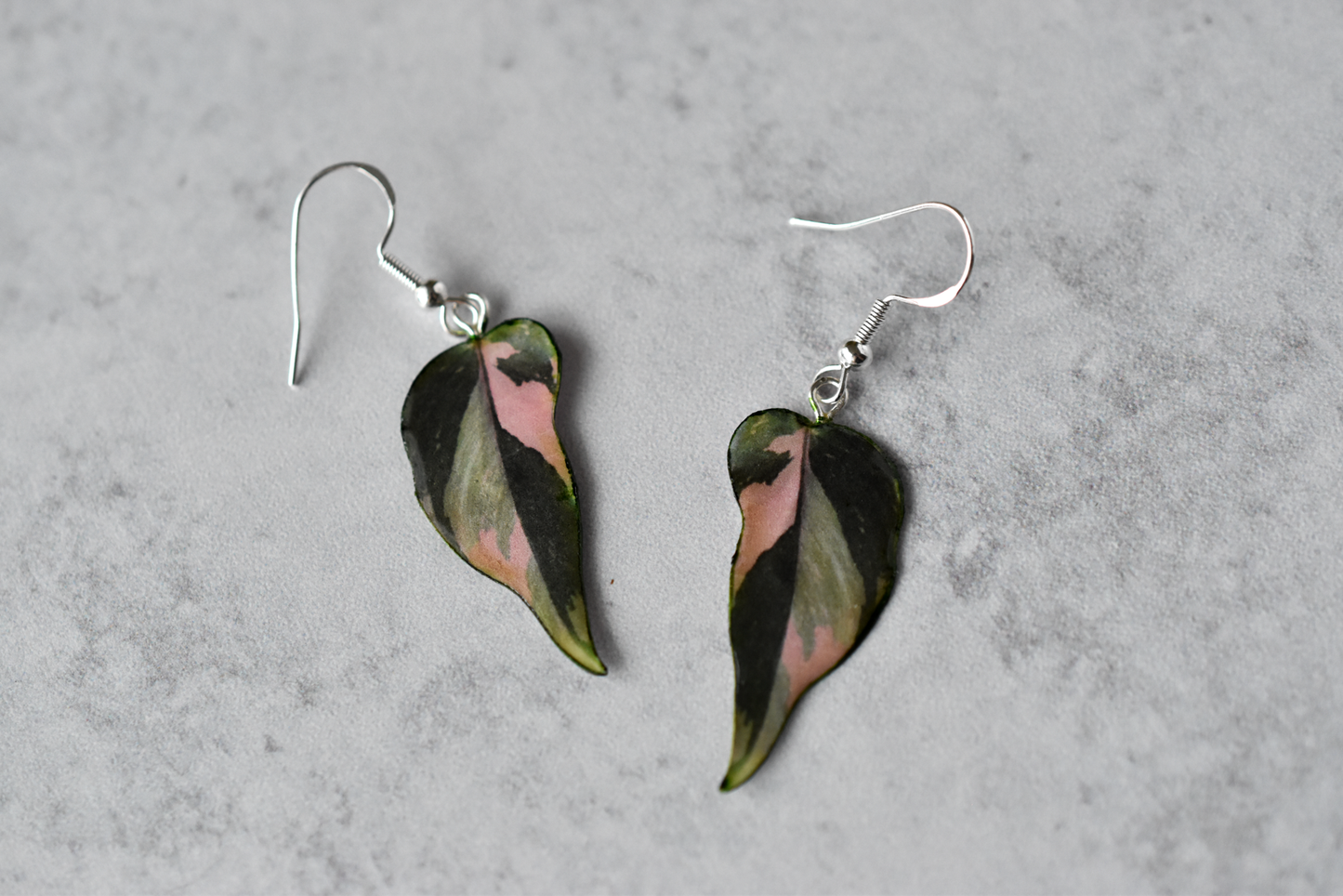 Philodendron Pink Princess "PPP" Camo Plant Earrings